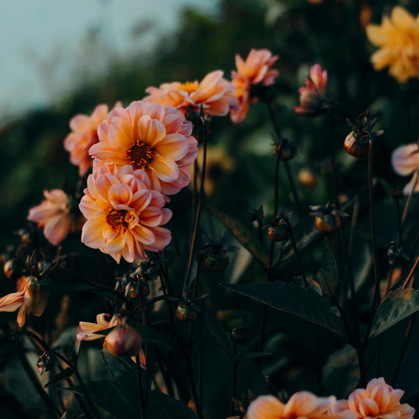 EMDR Therapy for Anxiety: How It Works and Who It Helps