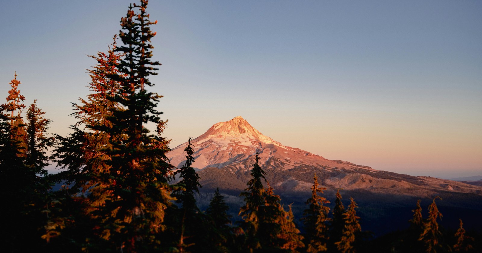 How to Find the Right Therapist: What Research Says Actually Matters