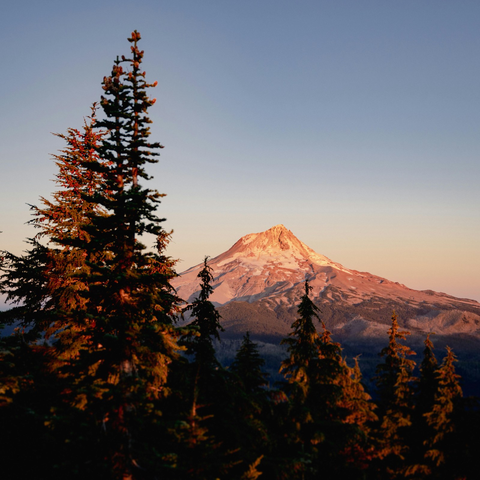 How to Find the Right Therapist: What Research Says Actually Matters