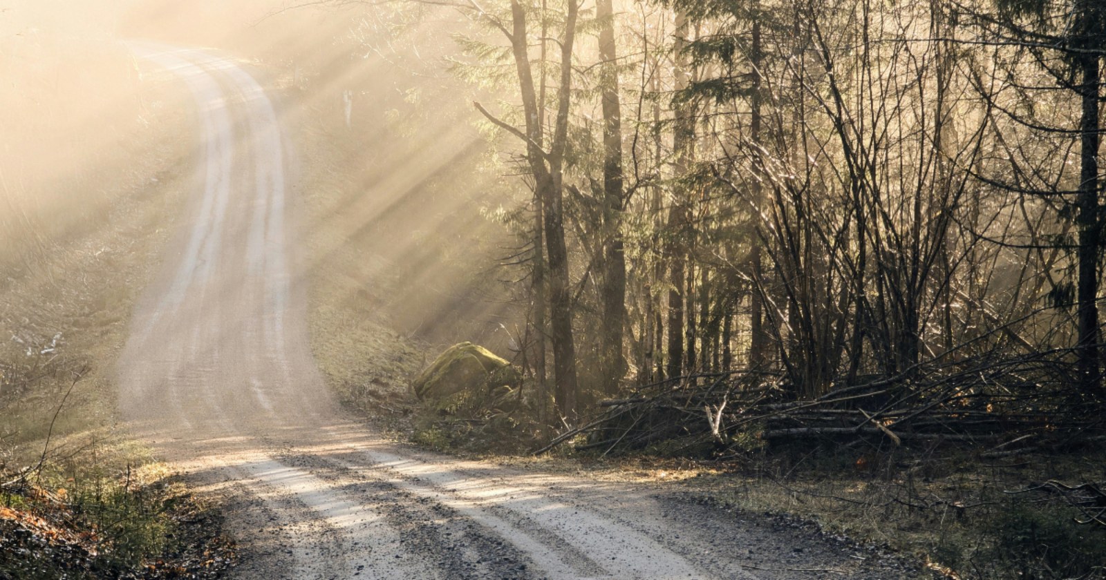 Preparing for a Psilocybin or Ketamine Session in Oregon: You Don't Need to Feel Ready. You Need to Feel Steady.