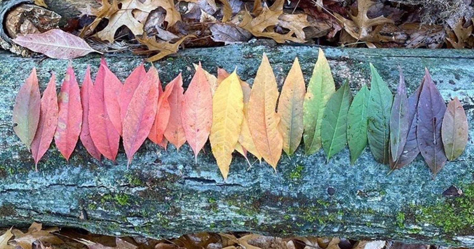Common Signs of Adult Autism That Show Up in Relationships (and Are Often Missed)