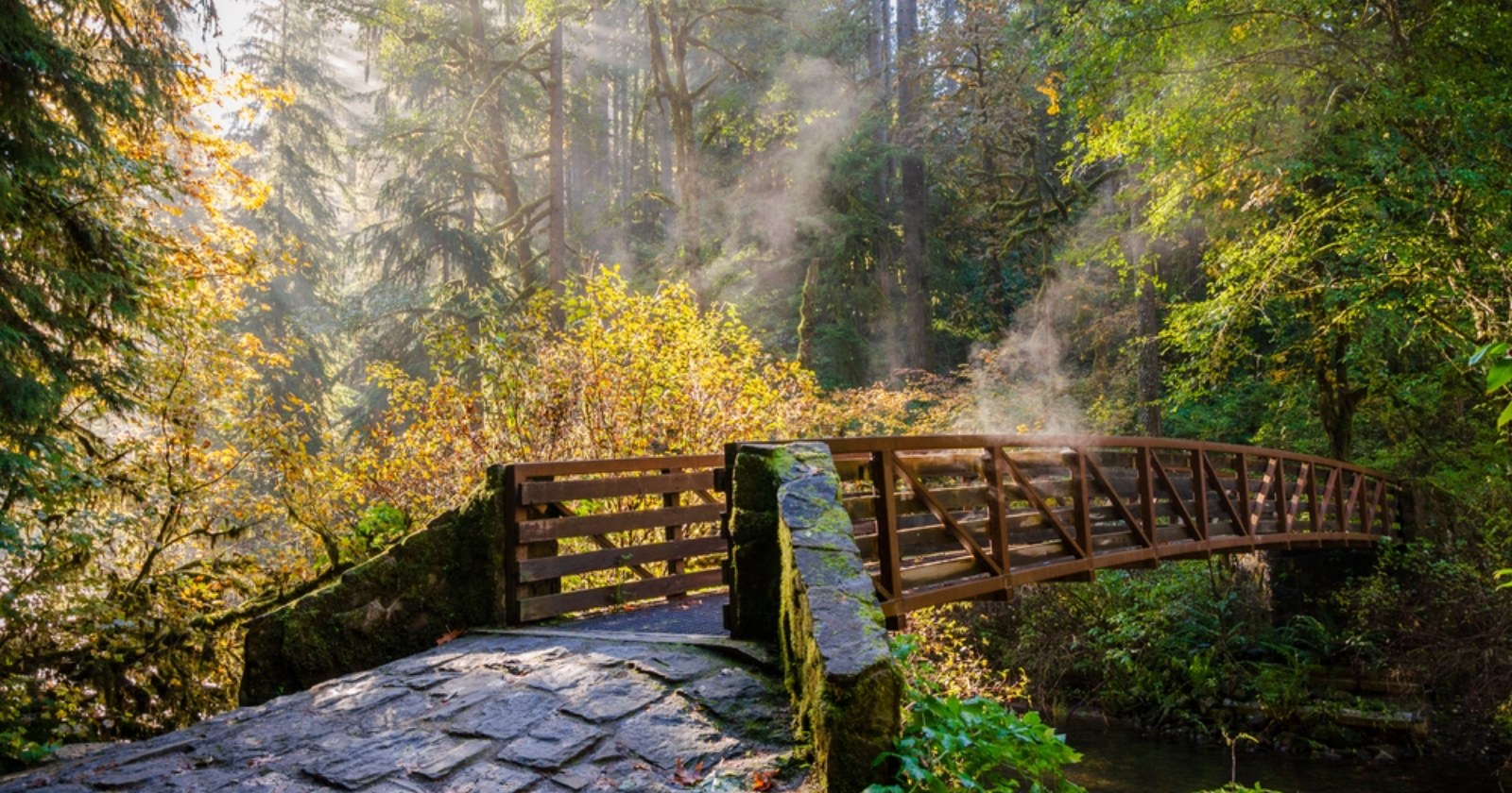 EMDR Therapy for Trauma & PTSD — What It Is and How It Works