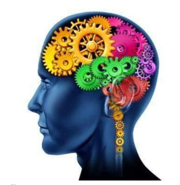 Adult ADHD ~ Informational Articles